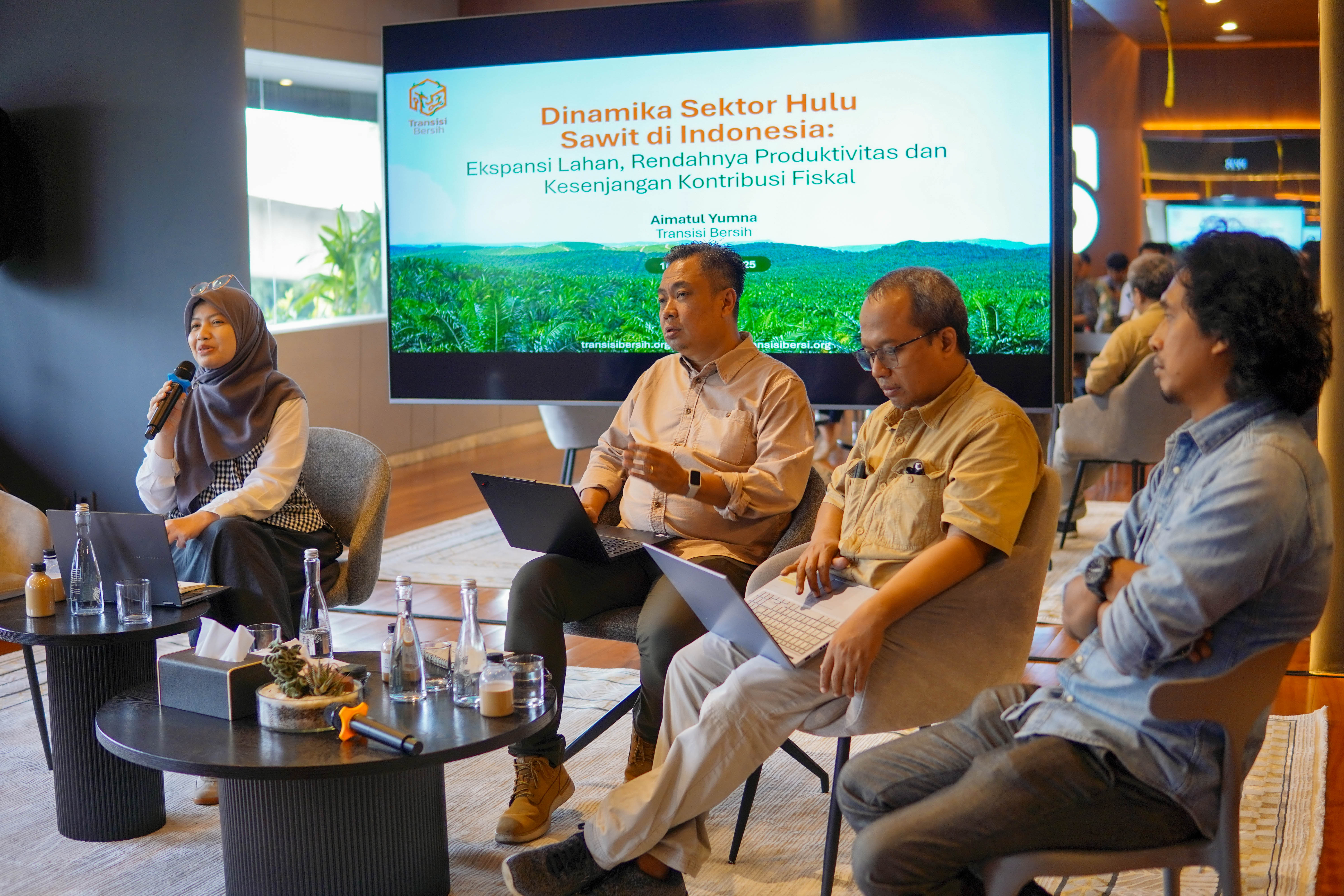 Ekspansi Sawit Meluas, Produktivitas Turun, Kontribusi Pajak Rendah